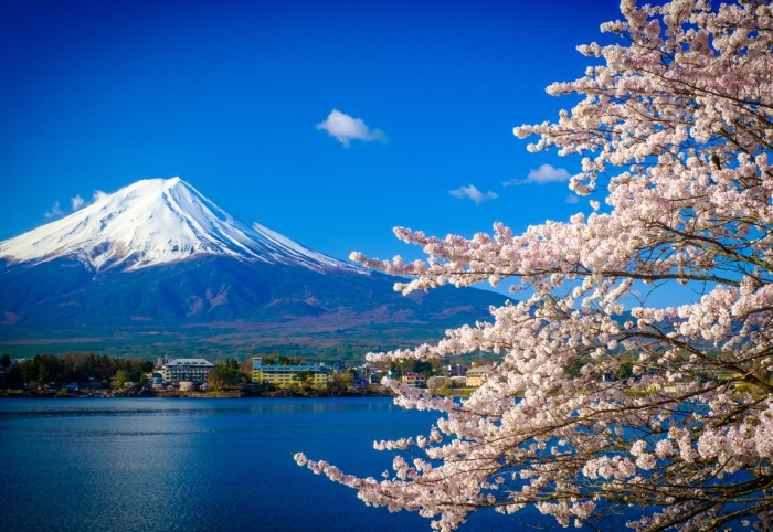 日本旅遊