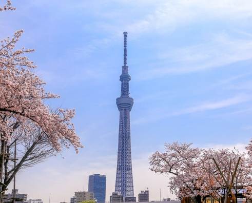 東京親子自由行行程規劃建議