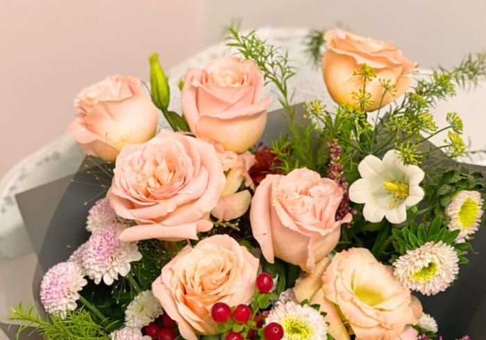 粉紅玫瑰如何養護