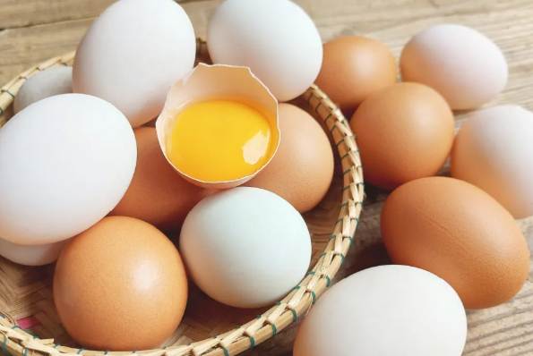 雞蛋營養
